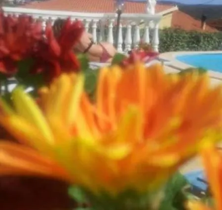 Il Rifugio Sul Mare דירה בודוני